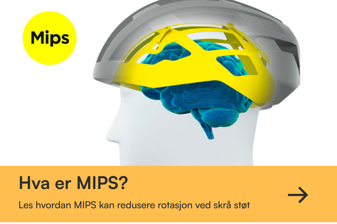 Hva er Mips.png