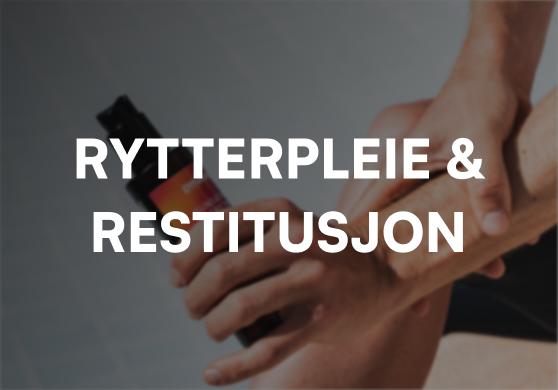 Dynamic - Rytterpleie og Restitusjon - B Blokk.png