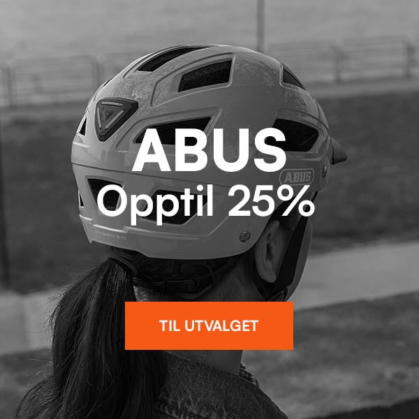 Abus.jpg