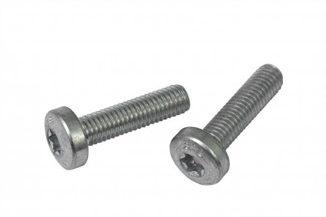 BOSCH Set of Screws for Frame Battery