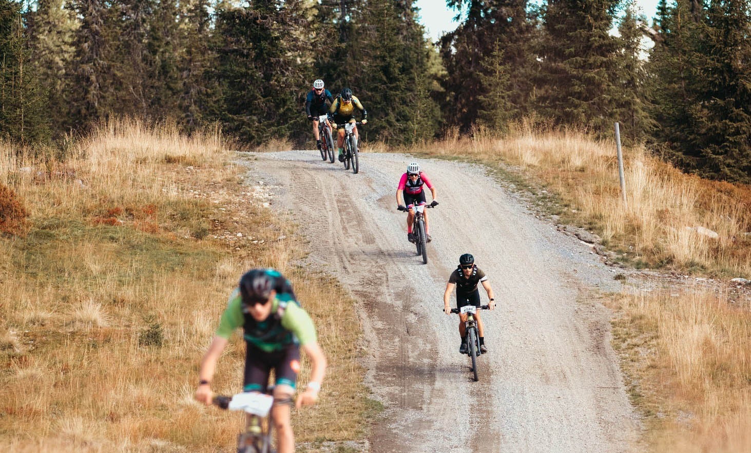 Ernæringsplan til Birkebeinerrittet