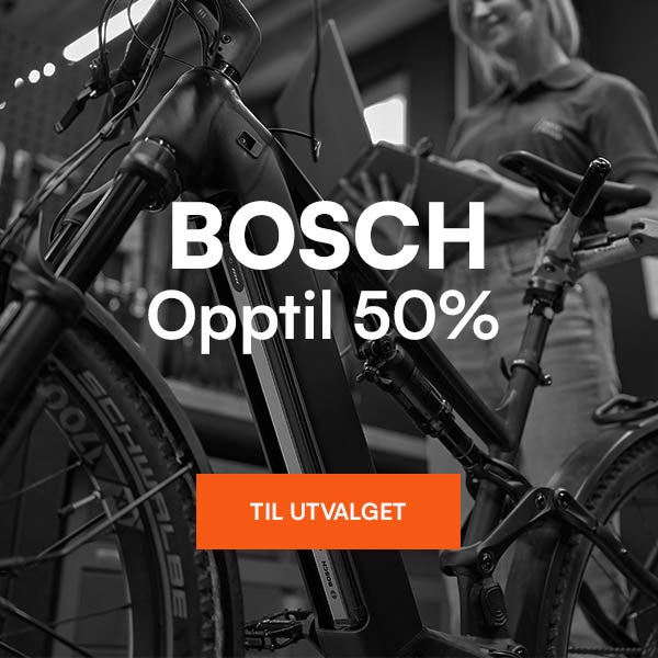 Bosch.jpg