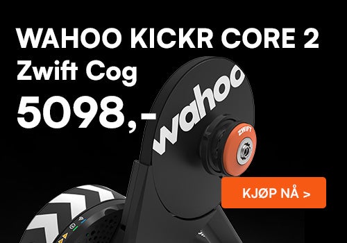 Wahoo kickr core Cog B boks3.jpg