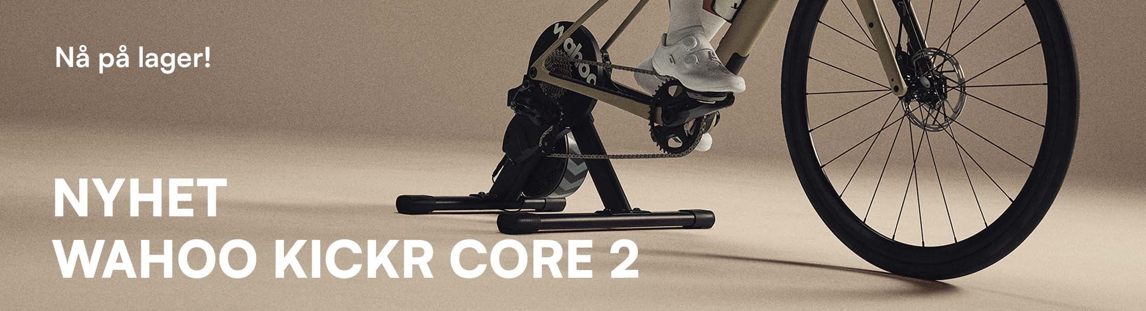 Wahoo kickr core 2 desktop.jpg