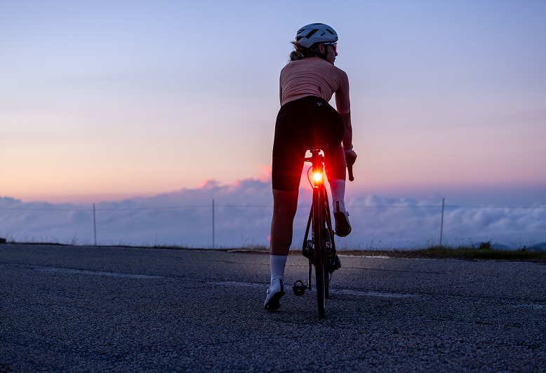 Sikkerthet med Gamin Varia